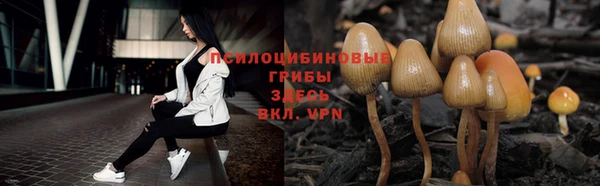 винт Белокуриха