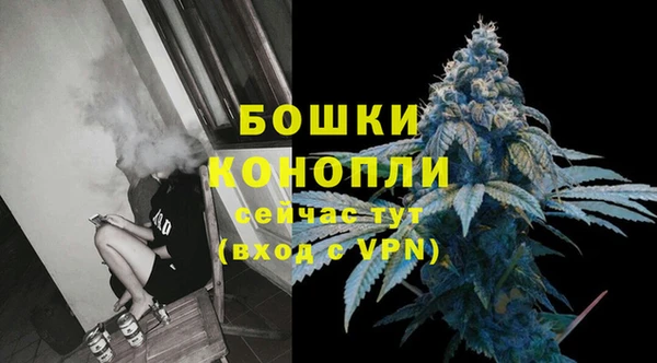 крисы Белоозёрский