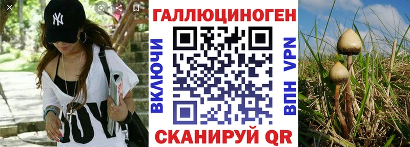 кракен маркетплейс  Кизел  Галлюциногенные грибы Psilocybine cubensis  где купить наркотик 