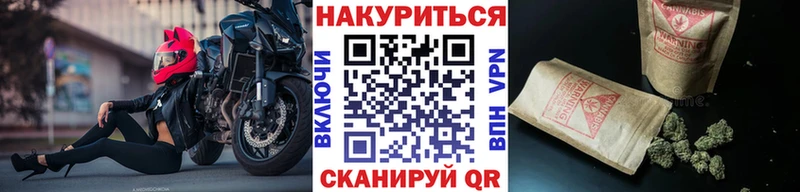 Канабис Bruce Banner Кизел